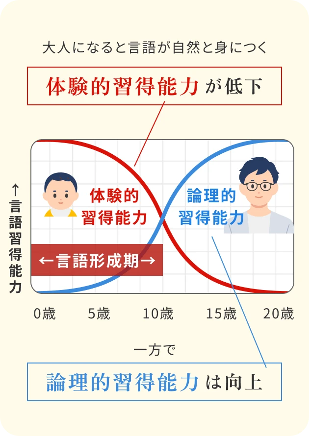 大人になると言語が自然と身につく体験的習得能力が低下 一方で論理的習得能力は向上