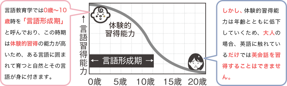 アンダーソン博士による年齢と言語習得能力の関係を表したモデル