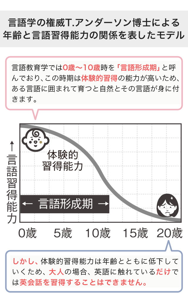 アンダーソン博士による年齢と言語習得能力の関係を表したモデル